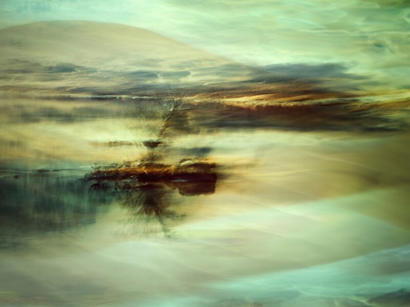 Image of Tree on the Loch by Noel Fenech Photography